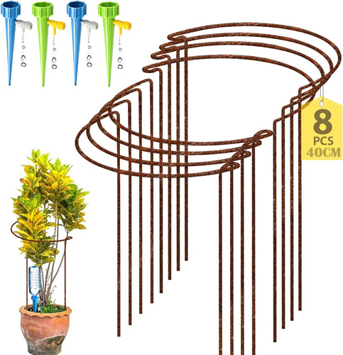 Rusty bow plant - plant, support