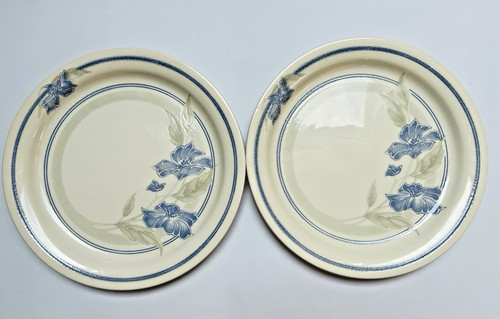 Set vintage dinner - 2,