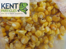 Cooked Maize in Bags FREE P&P