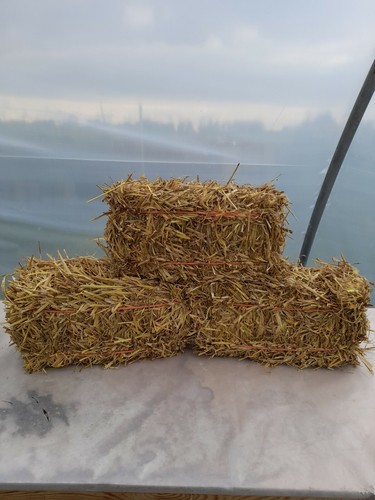 Mini straw bale - ,