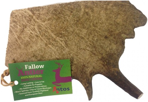 Antos fallow antler - antos, large