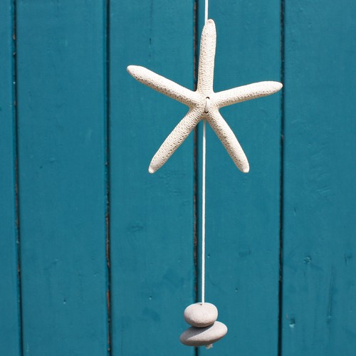 Starfish pebble bathroom - starfish, –