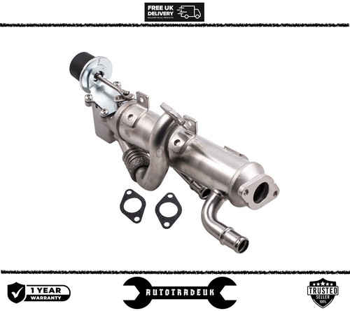 Egr cooler fits - egr, a4