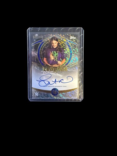 2025 topps universe wwe - 2025,