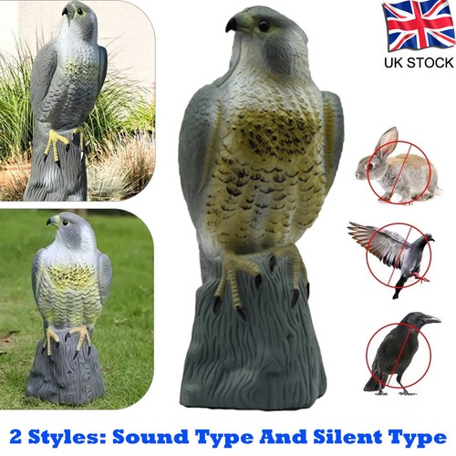 Decoy hawk garden - hawk, pest