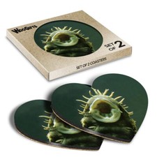 Heart MDF Coaster Bristlenose