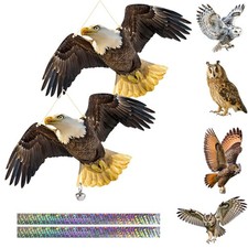 Hawk Bird Scarers Pigeon