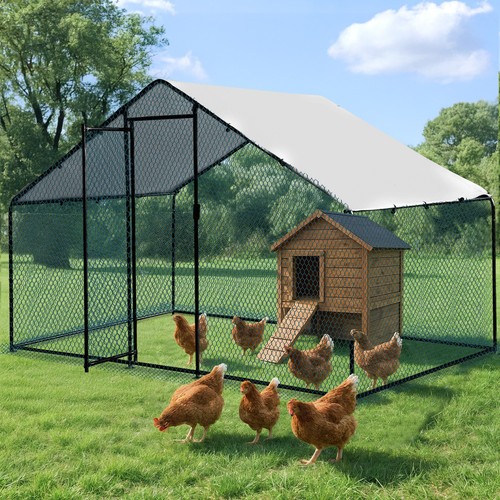 Large walk metal chicken - large,