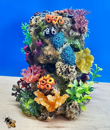 Coral stone plants - stone, aquarium