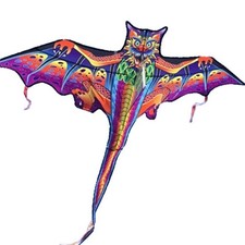 Easy to Fly Dragon Kite Good