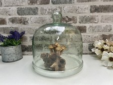 Large 24cm Glass Cloche Bell