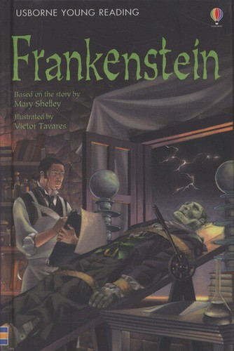 Usborne young reading