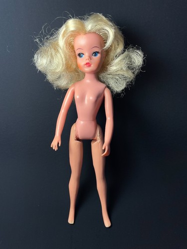 Pedigree sindy doll - pedigree,