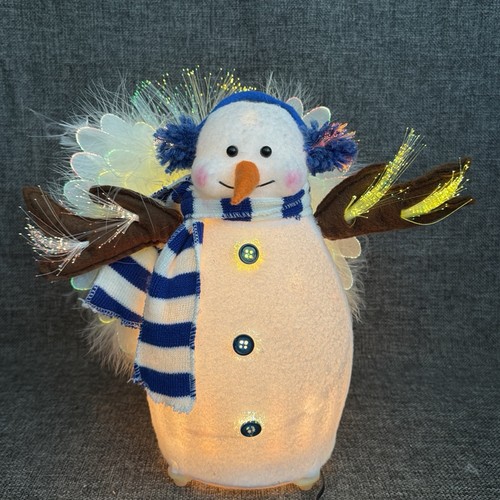 Fiber optic led christmas - led,