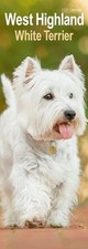 West Highland White Terrier 2026 Slim Wall Calendar Official