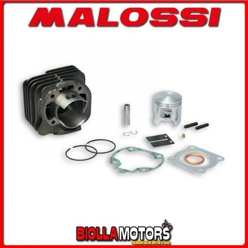 316170 cylinder kit malossi - 316170,