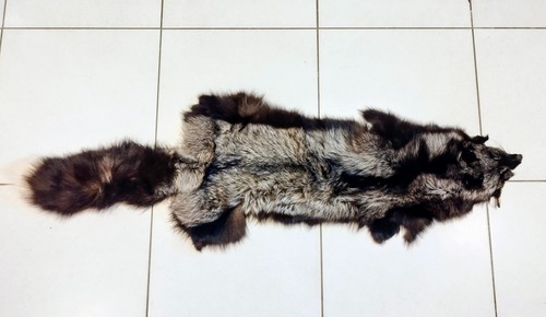 Natural silver fox skin - natural,