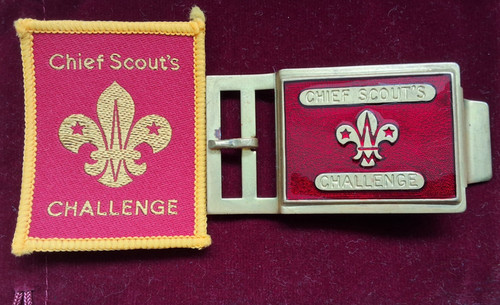 Boy scout 1990 chief - boy,