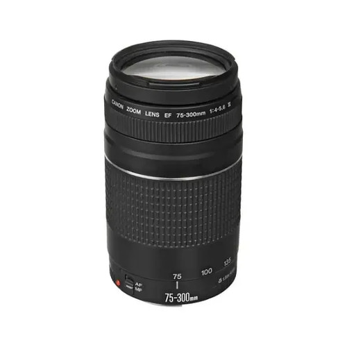 Canon 300mm 5 - ef, 75-300mm