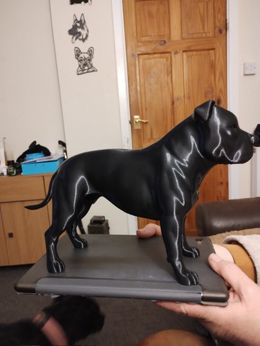 Staffordshire bull terrier - staffordshire,