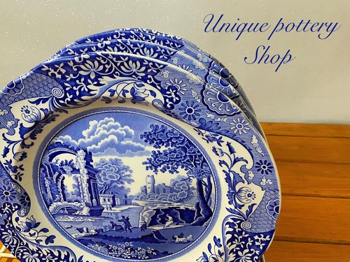 English vintage spode - english,