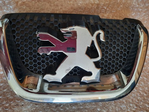 Peugeot 407 front - front, badge