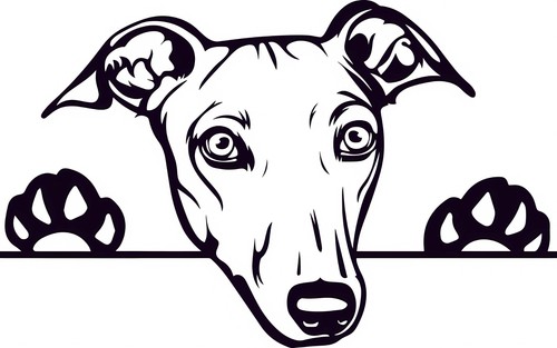 Greyhound dog line art wall - line,