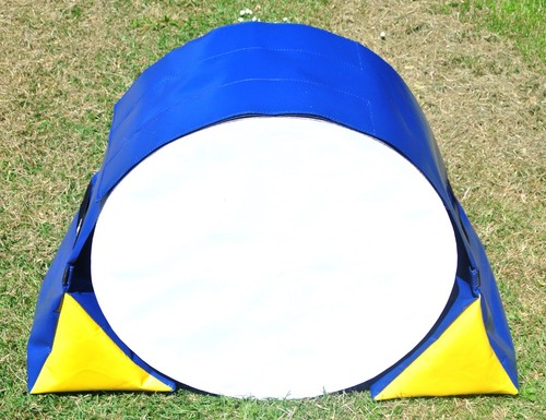 Dog agility training tunnel - training,