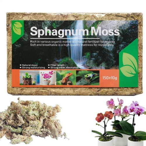 High quality natural sphagnum - natural,