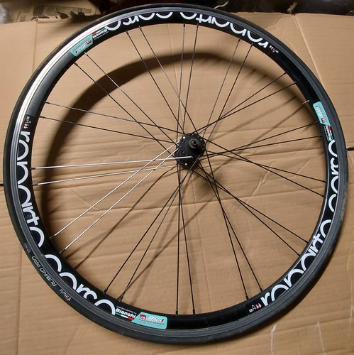 Bianchi reparto corse - , front