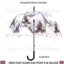 Ladies Umbrella Rain Strong