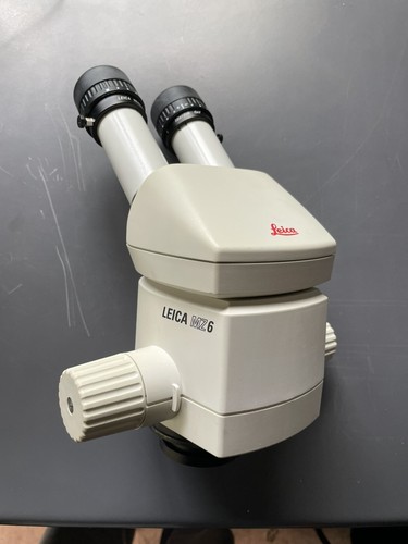 Leica mz6 microscope - leica,