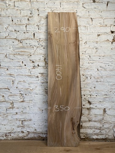 Waney edge live elm - elm, shelf