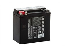 Genuine Harley-Davidson® AGM