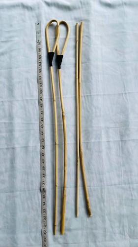 Rattan scholastic punishment - rattan,