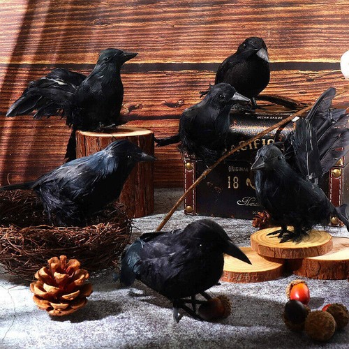 12pcs black lifesize raven - 1-12pcs,