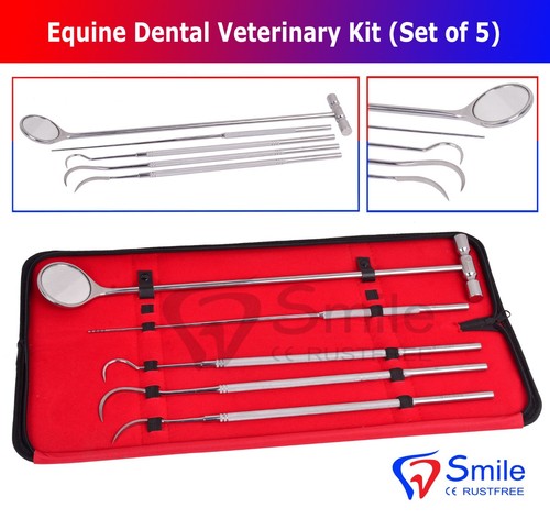 Smile england equine dental - smile,