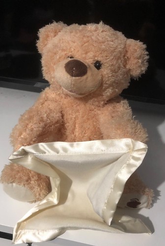 Peek boo teddy bear plush - teddy,