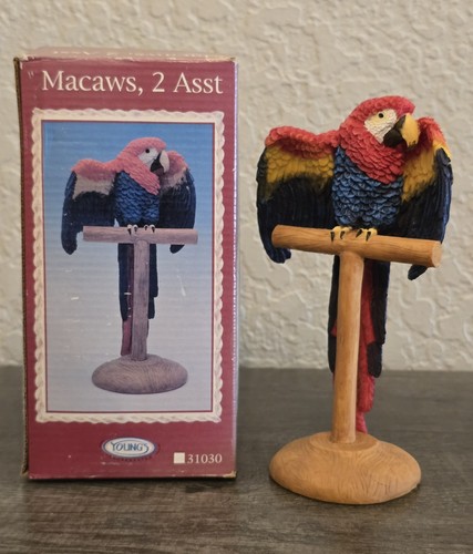 Vintage macaw parrot - vintage, perch
