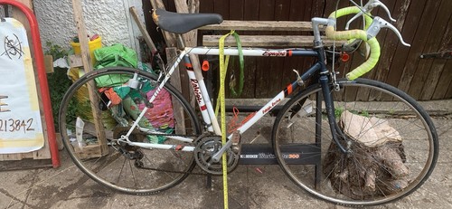 Raleigh equipe classic road - raleigh, 12