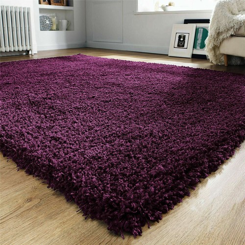 Modern large small soft - small, shaggy