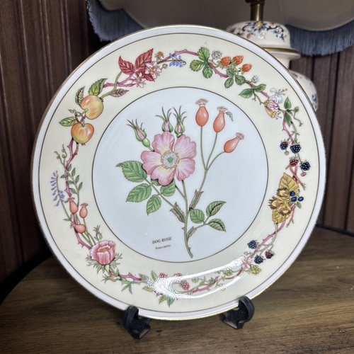 Aynsley the fruits and flowers - the,