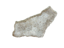 Dinosaur Egg Shell Saltasaurus