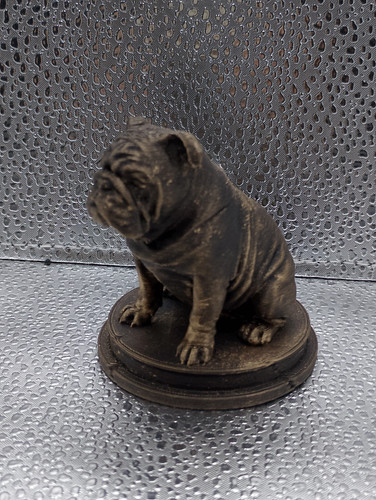 English bulldog dog - dog, –