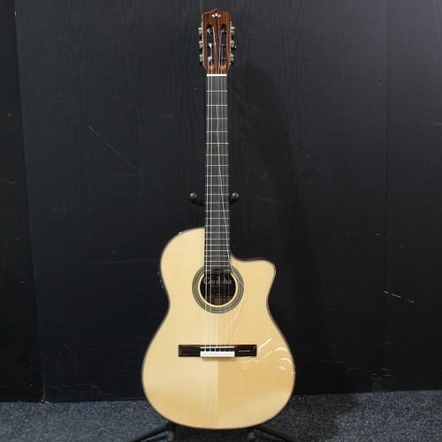 Cordoba maple classical - cordoba,