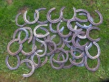 1 Lucky Horseshoe Used Horse
