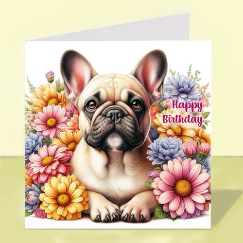 French bulldog dog birthday - french,