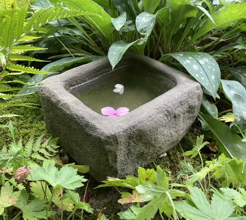 Stone garden small - garden, rustic