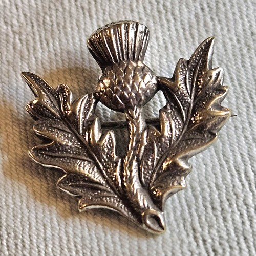 Beautiful vintage thistle - beautiful,