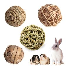 4 Pcs Pet Balls Rabbit Toys
